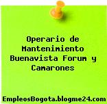 Operario de Mantenimiento Buenavista Forum y Camarones