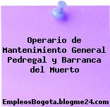 Operario de Mantenimiento General Pedregal y Barranca del Muerto