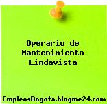 Operario de Mantenimiento Lindavista