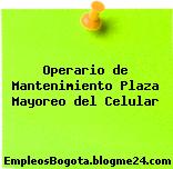 Operario de Mantenimiento Plaza Mayoreo del Celular