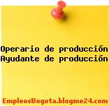 Operario de producción Ayudante de producción