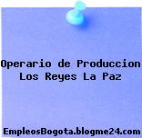 Operario de Produccion Los Reyes La Paz