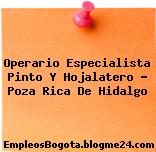 Operario Especialista Pinto Y Hojalatero – Poza Rica De Hidalgo