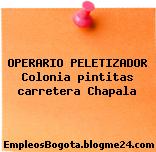 Operario Peletizador – Colonia Pintitas Carretera Chapala