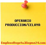 OPERARIO PRODUCCION/CELAYA