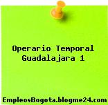 Operario Temporal Guadalajara 1