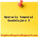 Operario Temporal Guadalajara 2
