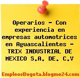 Operarios – Con experiencia en empresas automotrices en Aguascalientes – TRIX INDUSTRIAL DE MEXICO S.A. DE. C.V