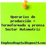 Operarios de producción – Termoformado y prensa Sector Automotriz