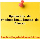 Operarios de Produccion_Cienega de Flores