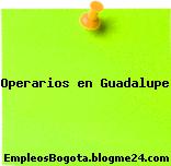Operarios en Guadalupe