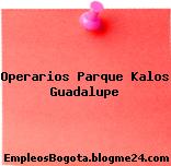 Operarios Parque Kalos Guadalupe