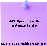 P443 Operario De Mantenimiento