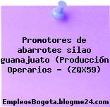 Promotores de abarrotes silao guanajuato (Producción Operarios … (ZQX59)