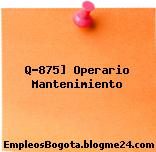 Q-875] Operario Mantenimiento