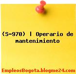 (S-970) | Operario de mantenimiento