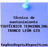 Técnico de mantenimiento TSUTÉCNICO TERMINALING TRUNCO LEÓN GTO