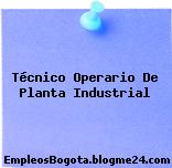 Técnico Operario De Planta Industrial