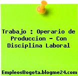 Trabajo : Operario de Produccion – Con Disciplina Laboral