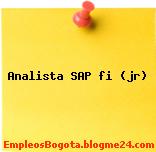 Analista SAP fi (jr)