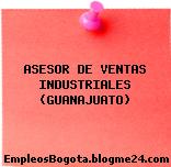 ASESOR DE VENTAS INDUSTRIALES (GUANAJUATO)