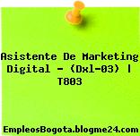 Asistente De Marketing Digital – (Dxl-03) | T803