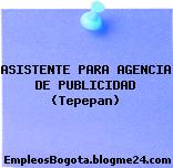 ASISTENTE PARA AGENCIA DE PUBLICIDAD (Tepepan)