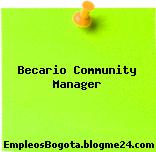 Becario Community Manager