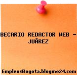 BECARIO REDACTOR WEB – JUÁREZ