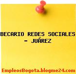 BECARIO REDES SOCIALES – JUÁREZ