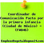 Coordinador de Comunicación Pacto por la primera infancia (Ciudad de México) – (FW046)