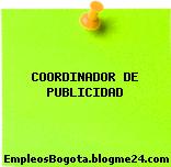 COORDINADOR DE PUBLICIDAD