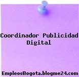 Coordinador Publicidad Digital