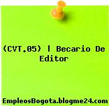 (CVT.05) | Becario De Editor