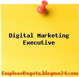 Digital Marketing Executive
