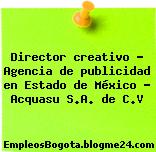 Director creativo – Agencia de publicidad en Estado de México – Acquasu S.A. de C.V