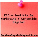 E25 – Analista De Marketing Y Contenido Digital