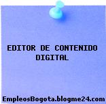 EDITOR DE CONTENIDO DIGITAL