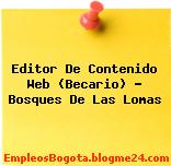 Editor De Contenido Web (Becario) – Bosques De Las Lomas