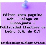 Editor para paguina web – Celaya en Guanajuato – Publicidad Efectiva de León, S.A. de C.V