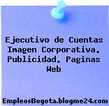 Ejecutivo de Cuentas Imagen Corporativa. Publicidad. Paginas Web