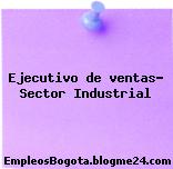 Ejecutivo de ventas- Sector Industrial