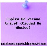 Empleo De Verano Unicef (Ciudad De México)
