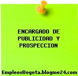 ENCARGADO DE PUBLICIDAD Y PROSPECCION