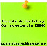 Gerente de Marketing Con experiencia KD880