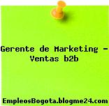 Gerente de Marketing – Ventas b2b