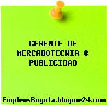 GERENTE DE MERCADOTECNIA & PUBLICIDAD