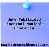 Jefe Publicidad Liverpool Mexicali Provincia