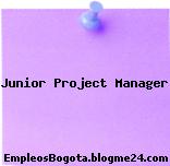 Junior Project Manager