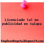 Licenciado (a) en publicidad en Xalapa